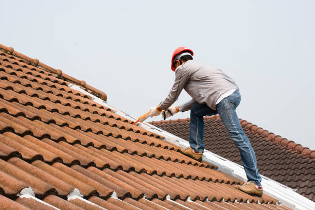 Best Skylight Installation and Repair  in Jonesville, MI