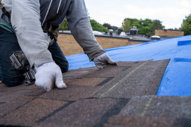 Best Storm Damage Roof Repair  in Jonesville, MI