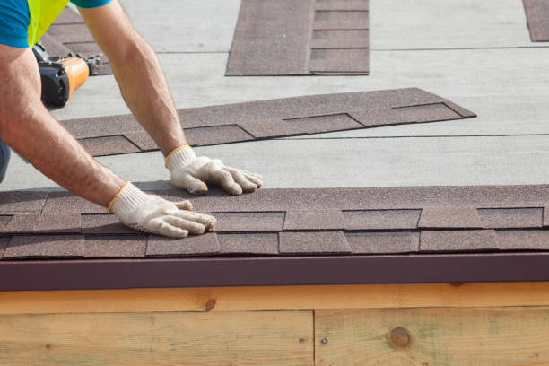 Best Roof Replacement  in Jonesville, MI